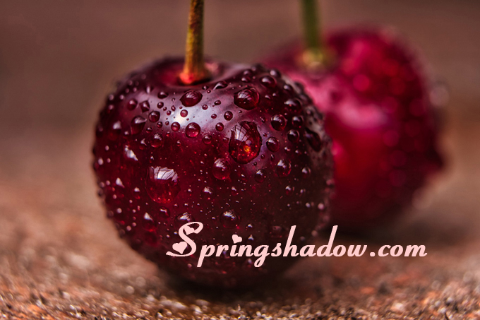 springshadow cherries